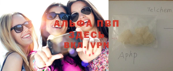 прущие грибы Елабуга