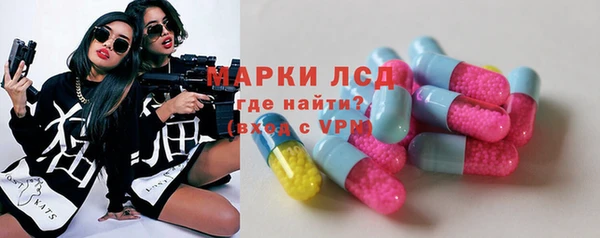 прущие грибы Елабуга