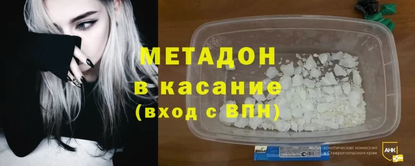 прущие грибы Елабуга