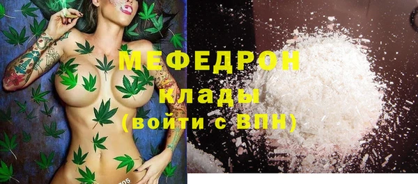 прущие грибы Елабуга