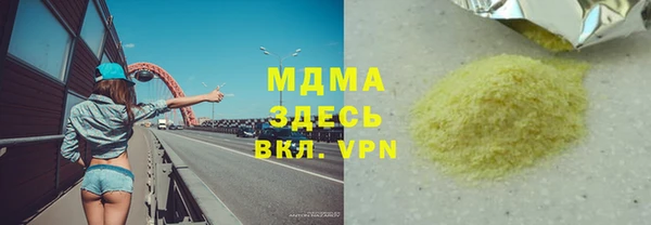 прущие грибы Елабуга