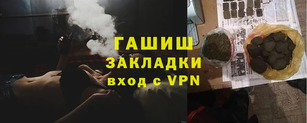 прущие грибы Елабуга