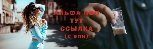 прущие грибы Елабуга