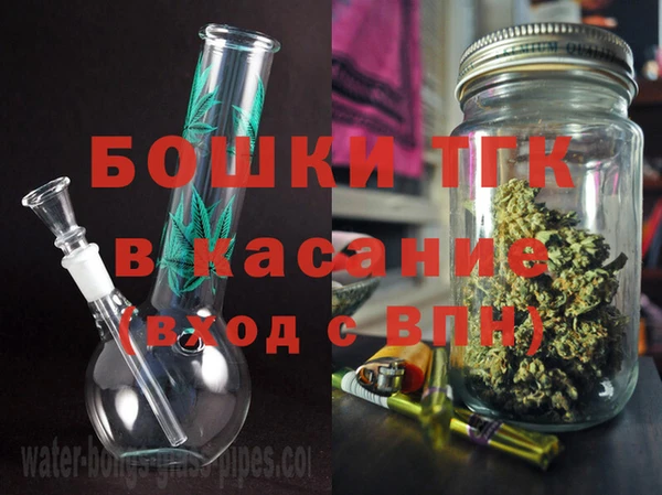 прущие грибы Елабуга