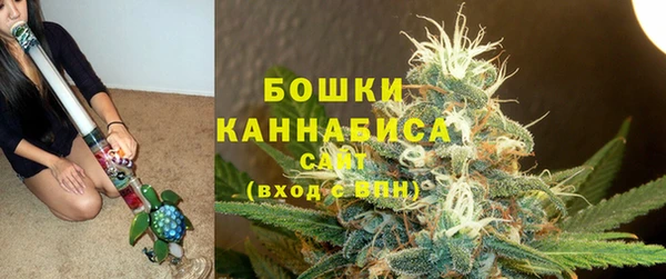 прущие грибы Елабуга
