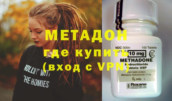прущие грибы Елабуга
