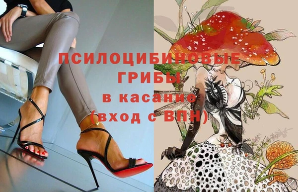 мяу мяу мука Елизово