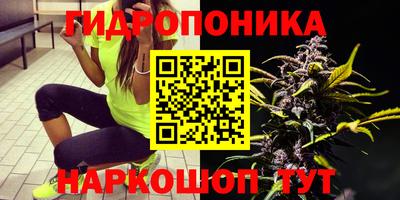 МДМА Камышлов