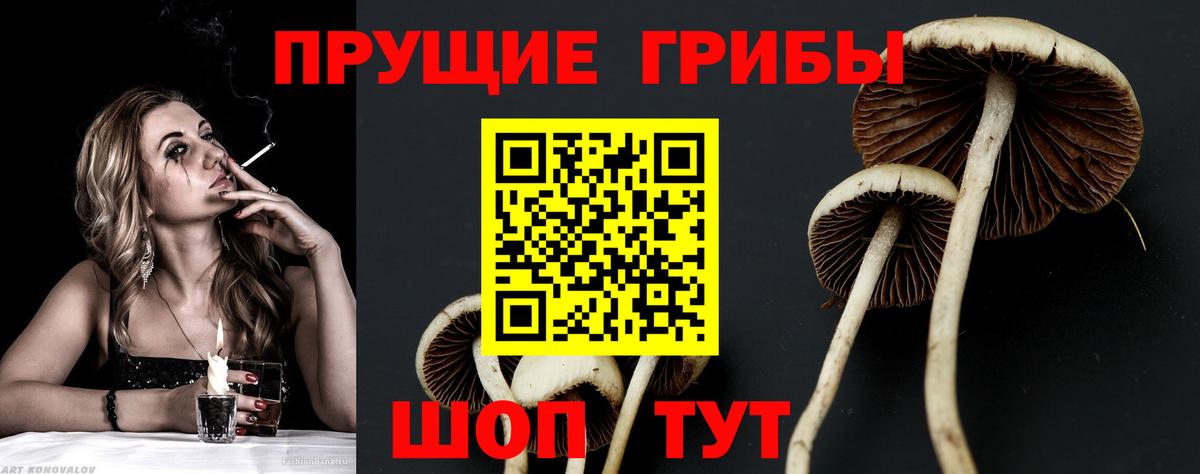 Галлюциногенные грибы мицелий  Псилоцибиновые грибы MAGIC MUSHROOMS  Саяногорск  Вход с VPN 